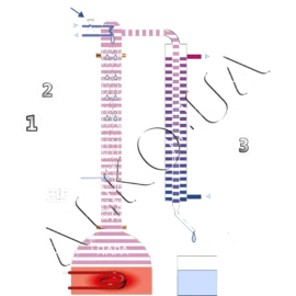 Получение спирта способом ректификации